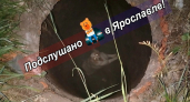 Прогулка сорвалась: ярославский пёс внезапно тестирует канализацию на улице Елены Колесовой