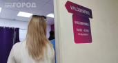 Россияне начали массово бежать с Wildberries и Ozon: что пошло не так — неожиданные причины