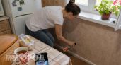 Пропитала ватный диск парой капель этого средства: муравьи покинули мой дом за ночь навсегда