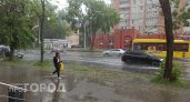 Ярославцев предупредили о грозе, ливне и шквалистом ветре