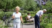 Забудьте про изнуряющие диеты: 10 элементарных привычек, которые гарантированно продлят вашу жизнь на годы