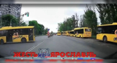 Поймали по видео: в Ярославле оштрафовали водителей автобусов за опасную езду