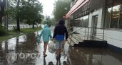 Ярославцев снова предупреждают о грозе, сильном ветре и дождях