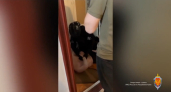 Сотрудники ФСБ из Ярославской области поймали взяточника в Коми