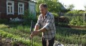 Хватит кормить комаров на даче: простой трюк с обычным носком навсегда избавит ваш участок от назойливых мошек