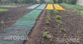 Хватит месить грязь в огороде: 5 вариантов долговечных дорожек, с которыми на участке всегда будет чисто