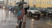 Ярославль ждёт дождь, грозу и шквалистый ветер