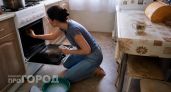 Вместо дорогущих гелей: простая специя с кухни чистит духовку до зеркального блеска за 3 минуты