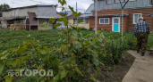 Забудьте про прополку: просто смешайте стакан этого состава с водой и сорняки исчезнут уже на следующее утро