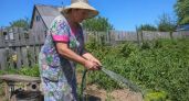 Нужно ли на самом деле поливать огород в жару: вы всю жизнь делали неправильно