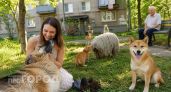 Вы не сможете сдержать улыбку: 15 кадров с собаками, которые доказывают их преданность и чувство юмора