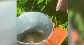 В ярославском селе выкопали колодец с непригодной водой, и жители ездят к соседям