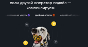 Билайн запустил компенсацию несправедливых списаний со стороны других операторов