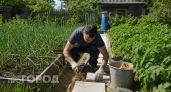 Не песок, не щебень, не бетон: единственная подложка под садовую дорожку, которую не нужно трамбовать и выравнивать