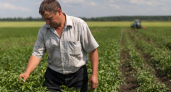 Аграриям Ярославской области направят 35 миллионов рублей с ростом поддержки на 29%