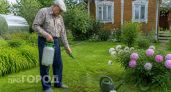 Почему газон больше не в моде: 4 современные альтернативы от шведских дизайнеров, за которыми вообще не нужно ухаживать