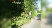В Ярославле убирают аварийные и поваленные сильным ветром деревья