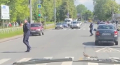 Полицейский в Ярославле остановил движение ради утки с тремя утятами