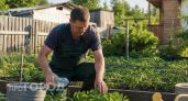 Не выбрасывайте пластиковые бутылки: 5 гениальных применений на участке, которые избавят вас от сорняков
