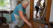 Смеялся над бабушкиной привычкой красить полы в коричневый пока не узнал про реальную защиту древесины