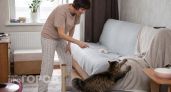 Простое и безопасное средство, которое отучит вашу кошку драть диван: аптечный раствор работает эффективнее дорогих спреев из зоомагазина