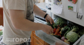 Больше не выбрасываю гниль: копеечная покупка из аптеки сохраняет овощи свежими на долгие недели подряд