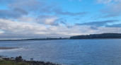 В Рыбинском водохранилище повторно взяли пробы воды после жалоб на ее цвет