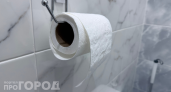 Смывать в унитаз или бросать в ведро: старый сантехник рассказал правду