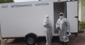 В Ярославской области сняли карантин по бешенству после ликвидации очага