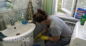 Мокрицы в ванной исчезнут навсегда: простая хитрость чтобы выгнать их из дома за пару вечеров без лишней химии