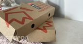 Коробки из-под пиццы не выкидываю, так как на даче они помогли защитить растения от паразитов