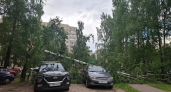 Непогода оставила без света населённые пункты Ярославской области