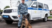 Кинолог из Ярославля с Форсажем взяла бронзу на всероссийских соревнованиях МВД