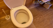 1 ложка — и в уборной пахнет лучше, чем в парфюмерном бутике: забыл про освежители навсегда