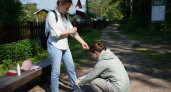 Нанесите это на щиколотки и забудьте о клещах: метод, который работает в июльскую жару