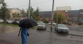 Ветер валит деревья, вода заходит в дома: как Ярославская область переживает затяжную непогоду