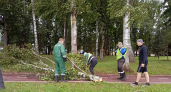 В Рыбинске убирают поваленные ураганом деревья после ветра до 18 мс
