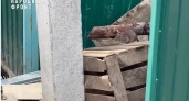 Крысы грызут машины, мусор не вывозят: что происходит у дома на 2-й Мельничной в Ярославле