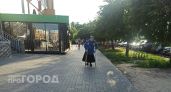 Ярославец 18 лет получал пенсию по поддельной инвалидности и получил срок