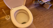 Хватит тратить деньги на химию: добавьте эту копеечную вещь в унитаз и забудьте о неприятных запахах навсегда