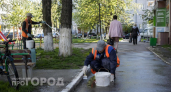 Всю жизнь белил деревья в белый цвет по привычке: вот какой скрытый военный смысл открылся мне на днях