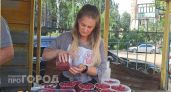 Продавщица ягод с Угличского рынка объяснила, что не перекупает, а собирает урожай в лесу