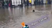  Пассажирам пришлось менять привычный маршрут: тоннель на вокзале Ярославля закрыли из-за подтопления