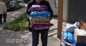 Выбросьте это из корзины прямо сейчас: три товара с Wildberries, которые принесут вам лишь разочарование