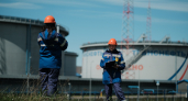 Специалисты ООО «Транснефть – Балтика» провели около 28,9 тыс. экологических исследований за 1 полугодие 2026 года