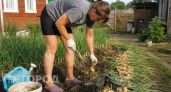 Раньше выбрасывала половину лука после зимы пока не изменила один нюанс при уборке: теперь лежит до самой весны