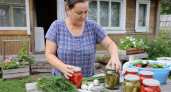 Сколько соли и сахара класть на 3‑литровую банку: теперь огурцы хрустят как надо 