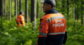Грибник обнаружил в лесу под Ярославлем обломки, похожие на части беспилотника