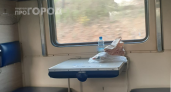 РЖД поставила точку: можно ли пассажиру с верхней полки усесться на нижней 