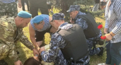 Побледнела и потеряла равновесие: как росгвардейцы спасли женщину на празднике ВДВ в Ярославле